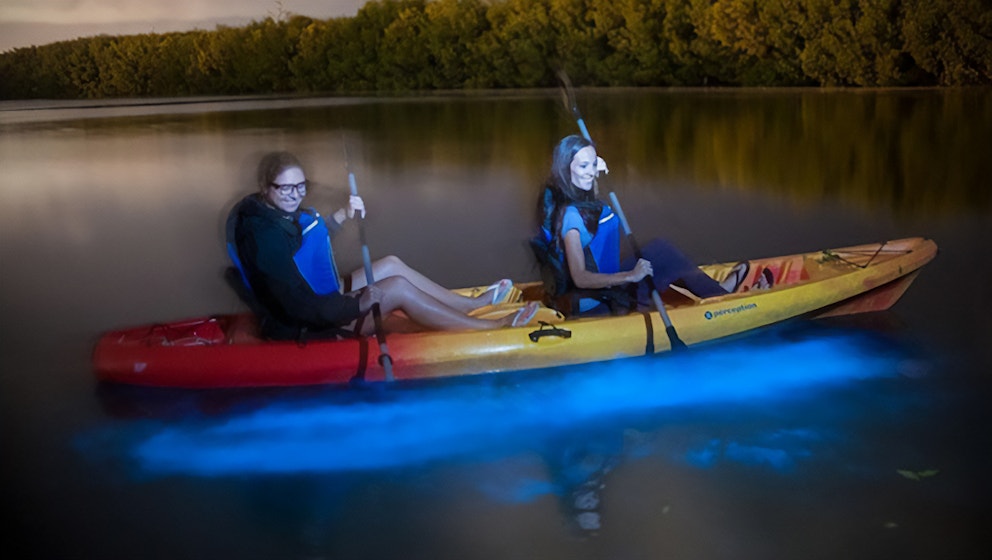 Bioluminescence Tours in Grand Cayman