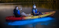 Bioluminescence Tours in Grand Cayman