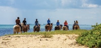 Group looking out to sea