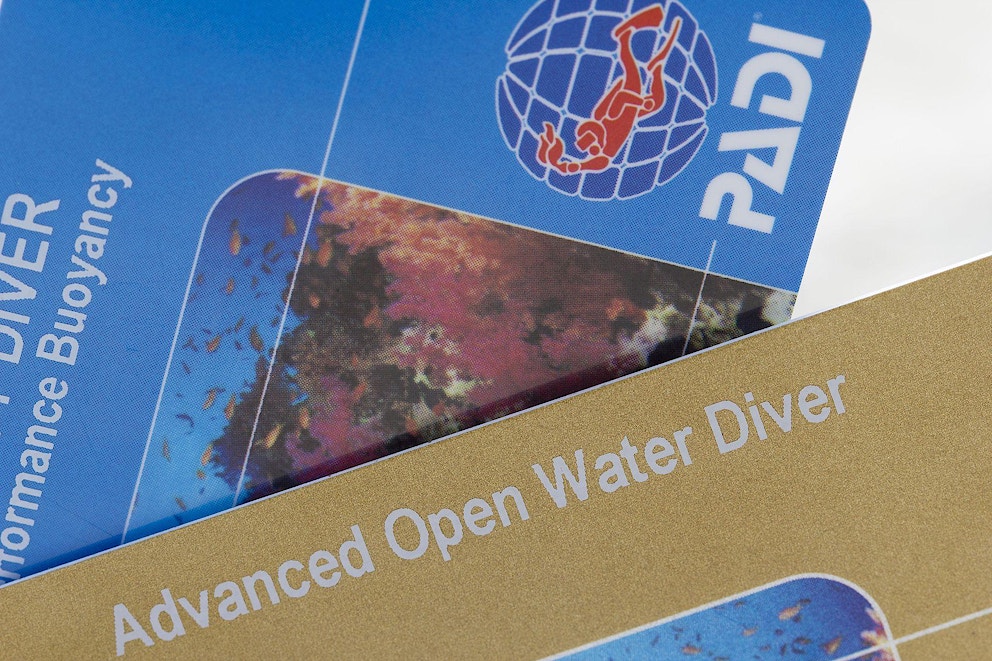 Padi dive certifications in cayman