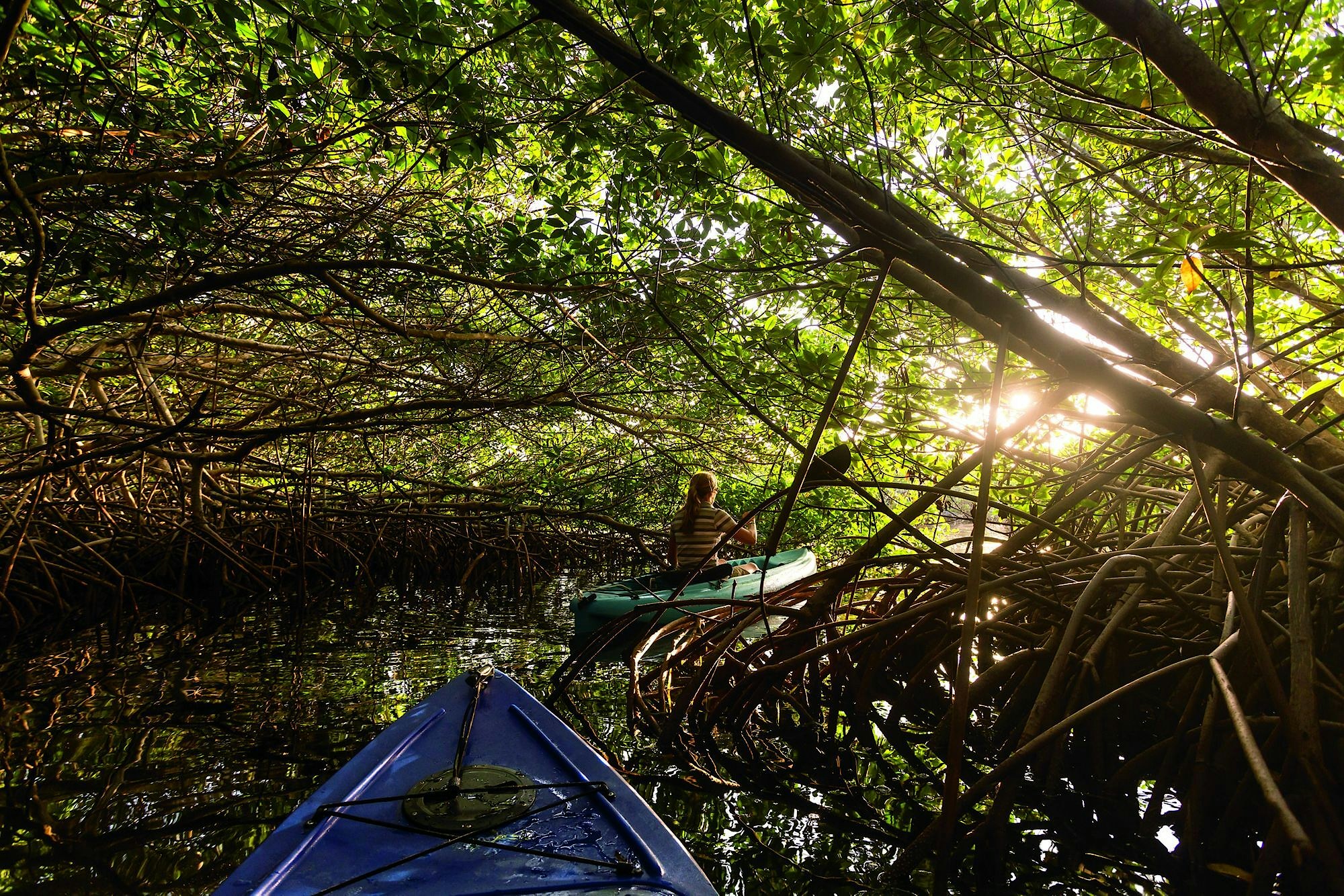 Ritz cayman ambassadors kayak trip