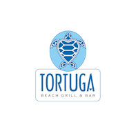 Tortuga png